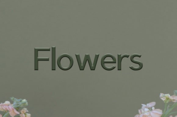 Flowers Fuentes Serif Fuente Por Hendrik studio