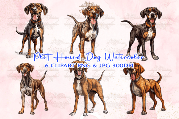 Plott Hound Dog Watercolor Clipart Graphic Crafts By Diceenid