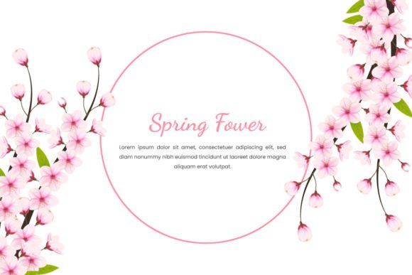 Vector Cherry Blossom Flower Blooming Graphic Illustrations By Tanu