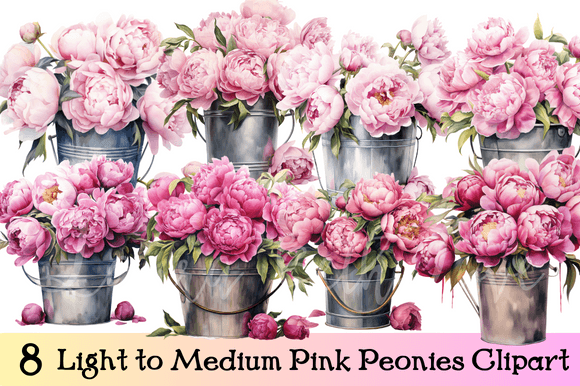 Light to Medium Pink Peonies Clipart Graphic AI Transparent PNGs By Laura Beth Love
