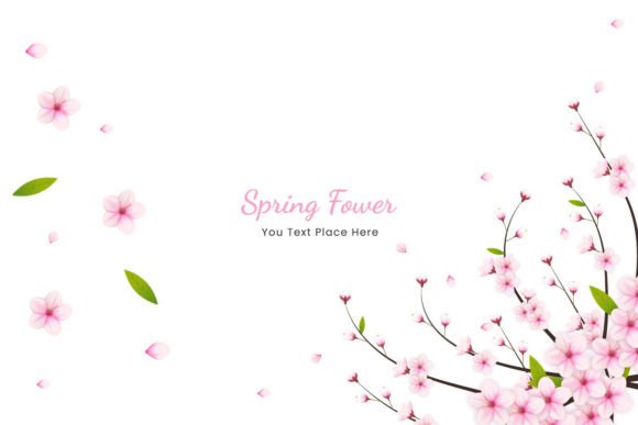 Cherry Blossom Background Graphic Illustrations By Tanu