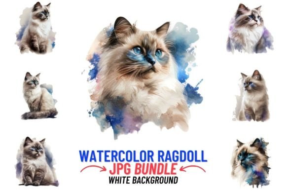 Watercolor Ragdoll Cat 12 JPG Clipart Graphic AI Illustrations By DigitalCreativeDen