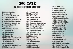 100 Stained Glass Cats PNG Clipart Illustration Illustrations Imprimables Par ART Fanatic 7
