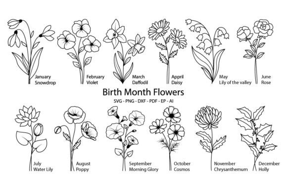Birth Month Flowers Svg, Flower Svg Graphic Print Templates By Tadashop Design