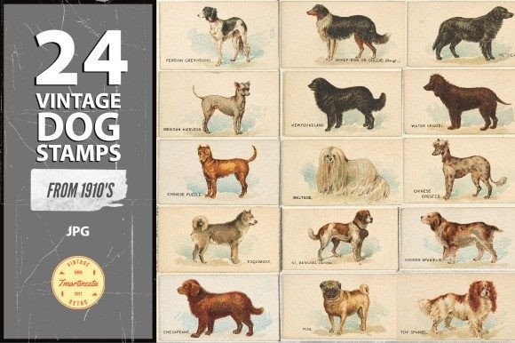 Vintage Dog Stamps Graphic Illustrations By tmartinezta