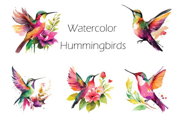 Watercolor Hummingbird Clipart Graphic Illustrations By Khine Sandar Thinn