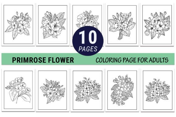 Primrose Coloring Page Line Drawing Graphic Coloring Pages & Books Adults By GraphicArt