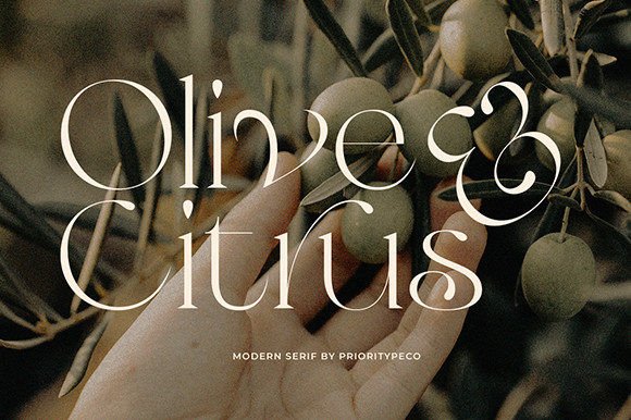 Olive & Citrus Serif Font By Prioritype