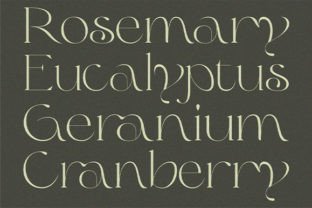 Olive & Citrus Serif Font By Prioritype 2
