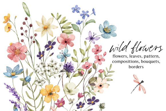 Wild Flowers, Butterflies and Dragonfly. Graphic Illustrations By Larisa Maslova