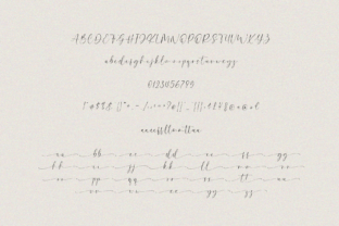 Willowshine Script & Handwritten Font By Pen Culture 9