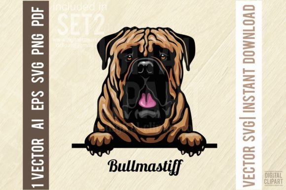 Bullmastiff - Peeking Dog SVG Color Grafik Druckbare Illustrationen Von SignReadyDClipart