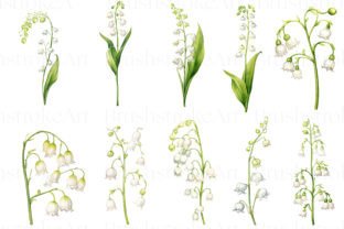 Lily of the Valley Watercolour Clipart Graphic AI Transparent PNGs By BrushstrokeArtGB 3