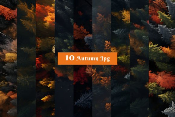 Top View Autumn Forest Scenery Graphic AI Graphics By Shahjahangdb