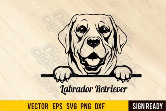 Labrador Retriev - Peeking Dog - Cut SVG Gráfico Ilustraciones Imprimibles Por SignReadyDClipart