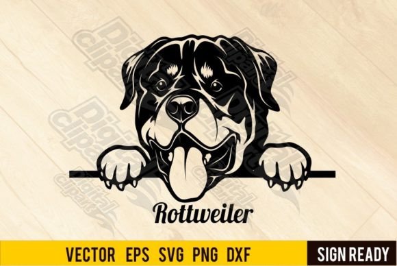 Rottweiler - Peeking Dog - Cut SVG Gráfico Ilustraciones Imprimibles Por SignReadyDClipart