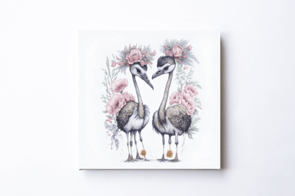 A Very Beautiful Ostrich Couple Graphic Illustrations By Creative Designs