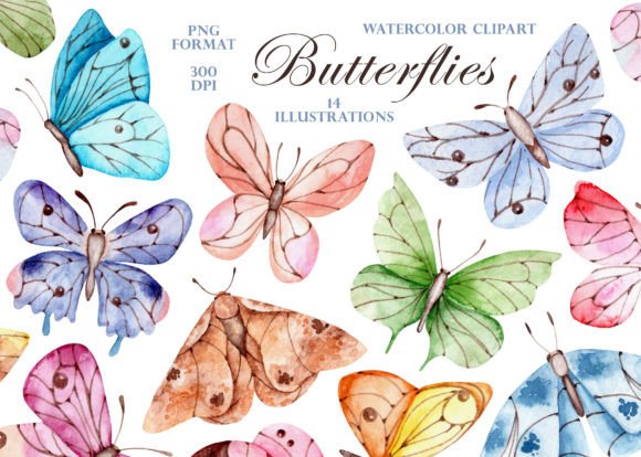 Butterflies Watercolor Clipart. Moths. Graphic Illustrations By sabina.zhukovets