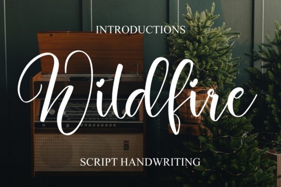 Wildfire Script Fonts Font Door YanStudio
