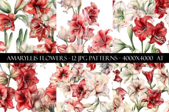 Amaryllis Flower Seamless Patterns Graphic Patterns By Digital Paper Packs