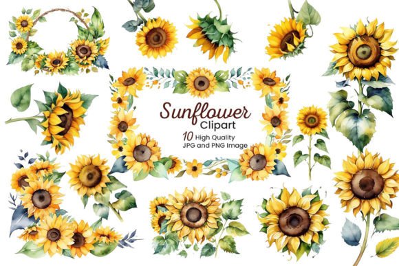 Watercolor Sunflower Clipart Png Graphic AI Illustrations By pixeness