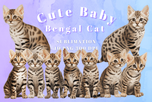 Cute Bengal Cat Sublimation PNG Graphic AI Transparent PNGs By artandcraftclipart