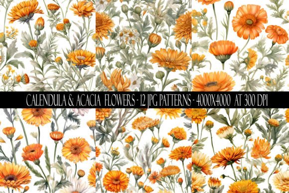 Calendula and Acacia Flower Patterns Gráfico Patrones de Papel Por Digital Paper Packs