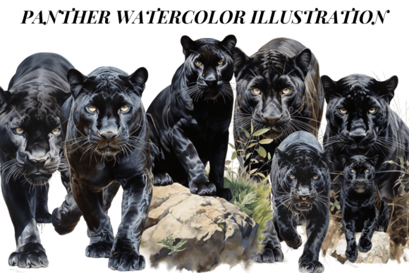 Panther Watercolor Clipart Grafika Ilustracje do Druku Przez Digital Xpress