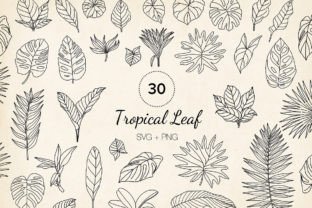 30 Hand-drawn Tropical Leaf SVG Clipart Graphic Illustrations By Paper Art Garden 1
