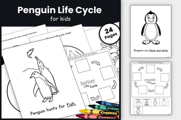 Penguin Life Cycle Craft & Activities Graphic Teaching Materials By TheStudyKits