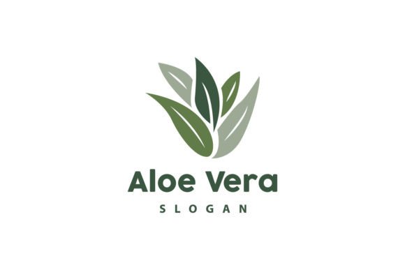 Aloe Vera Logo, Herbal Plant Vector Graphic Logos By May Graphic