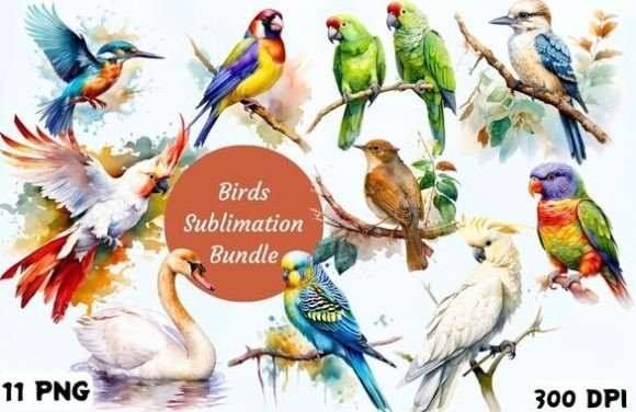 Birds Sublimation Bundle Clipart PNG Pod Graphic Illustrations By A Design