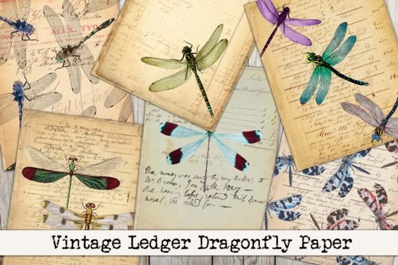 Vintage Dragonfly Ledger Paper Graphic Backgrounds By Digital Attic Studio