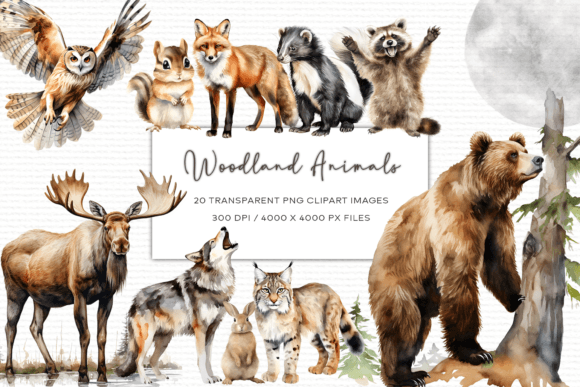 Woodland Animals Watercolor Clipart Grafika Ilustracje do Druku Przez MNDesigns