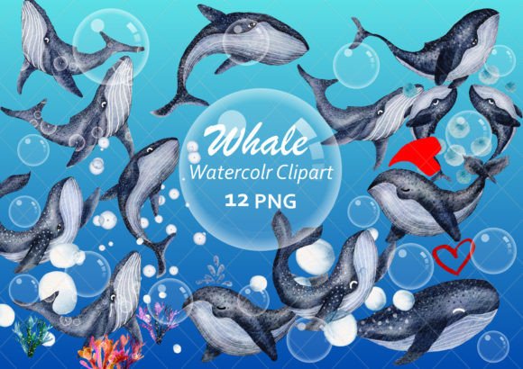 Big Blue Whale, Watercolor Clip Art Graphic Crafts By Jenjira
