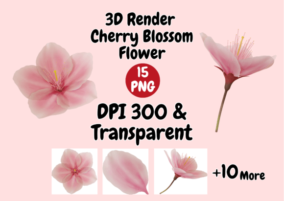 3D Render Cherry Blossom Flower Graphic Objects By arasigner