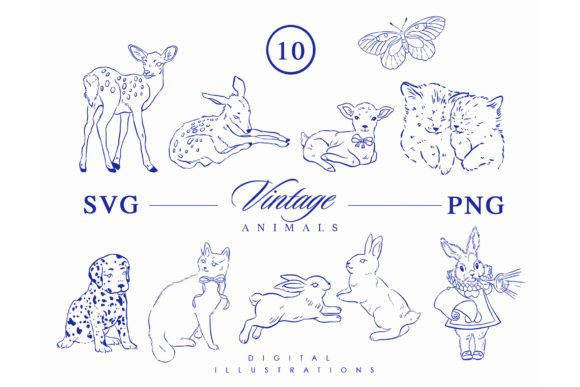 Forest Animals Clipart Set Graphic Illustrations By NassyArt