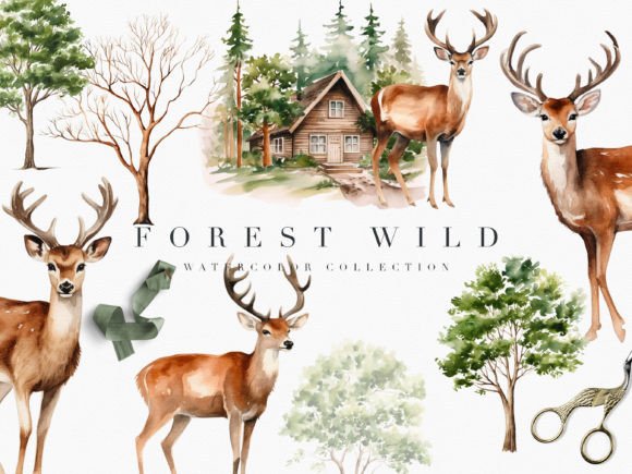 Watercolor Forest Wild Clipart Set Grafika Wysokiej Jakości Obiekty Graficzne Przez patipaintsco