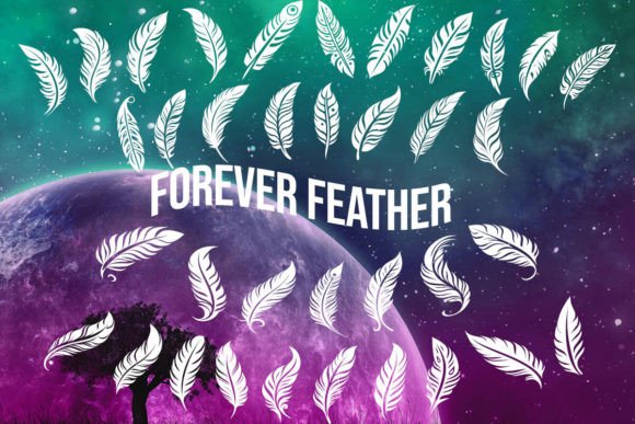 Forever Feather Dingbats Font By MOMAT THIRTYONE