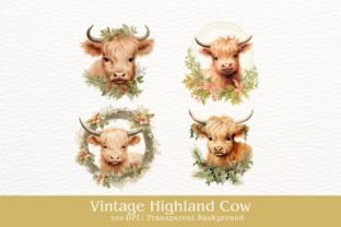 Vintage Highland Cow Watercolor Clipart Graphic Illustrations By Rabbyx 2