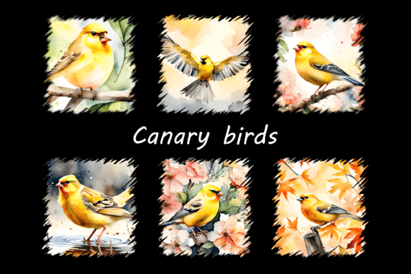 Canary Birds Graphic AI Transparent PNGs By VIKIMON