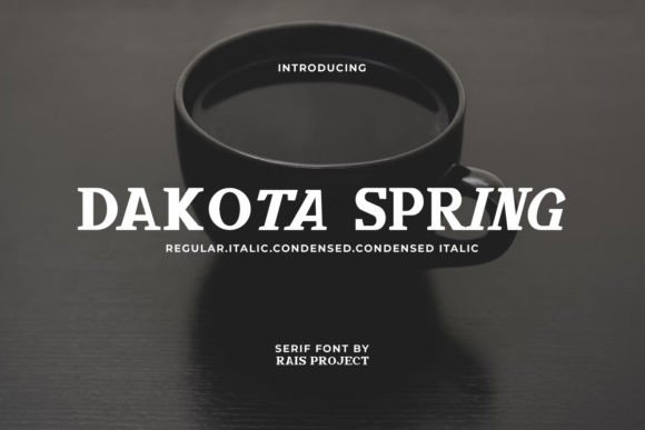 Dakota Spring Serif Font By RaisProject