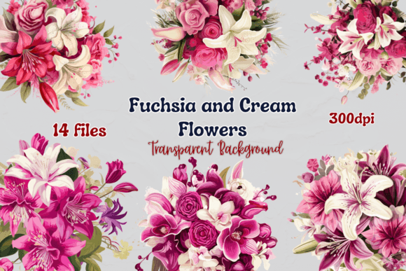 Fuchsia and Cream Flowers Grafik Druckbare Illustrationen Von Philip Pub