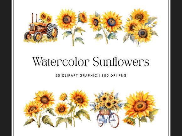 Watercolor Sunflowers Clipart Bundle Graphic Illustrations By DesignScotch
