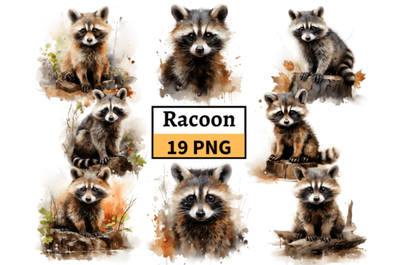 Watercolor Raccoon Clipart PNG Bundle Graphic Illustrations By MashMashStickers