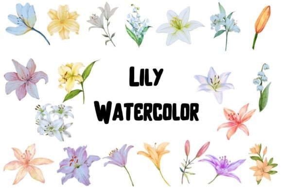 Watercolor Lily Clipart Grafik Druckbare Illustrationen Von BigBosss