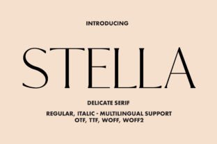 Stella Serif Font By Minimalistartstudio 1
