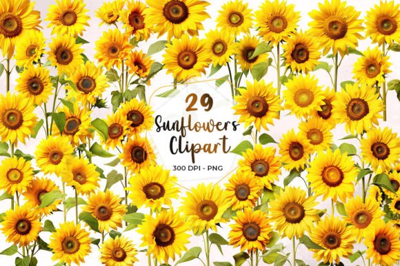 Sunflowers Watercolor Clipart Graphic Illustrations By Aspect_Studio