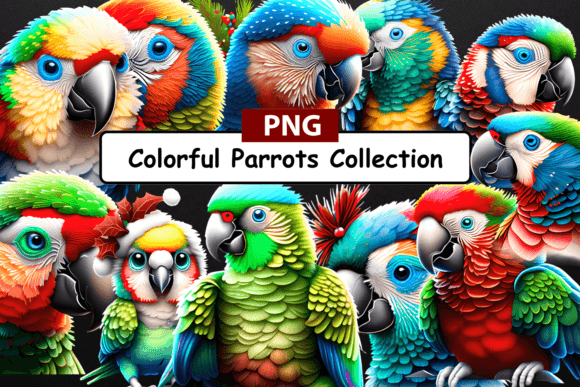 Parrot's PNG Collection Graphic AI Transparent PNGs By Hassas Arts