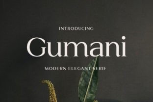 Gumani Serif Font By yukitacreative 1